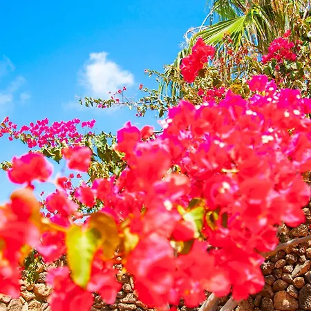 Conil With Heated Pool And Air Conditioning *