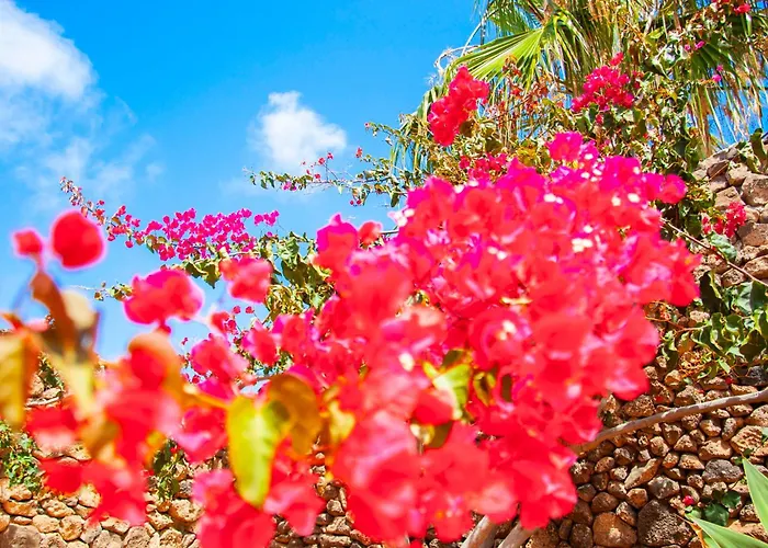 Conil With Heated Pool And Air Conditioning *